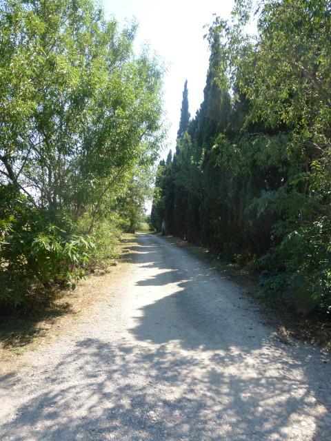originale_1378