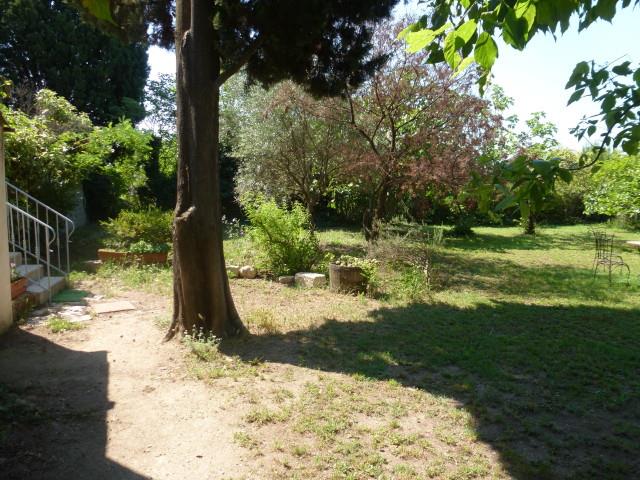 originale_1379