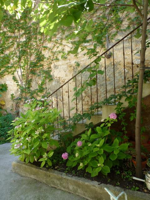 originale_1431