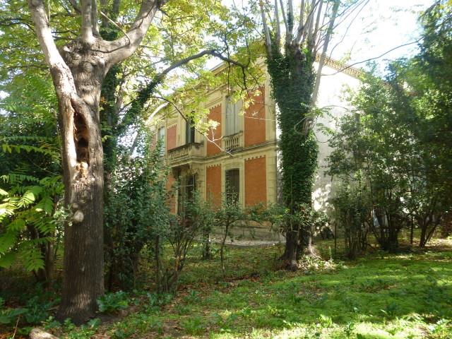 originale_1559