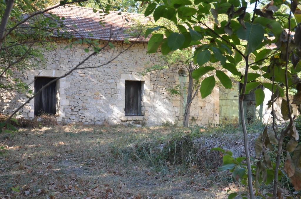 originale_2564